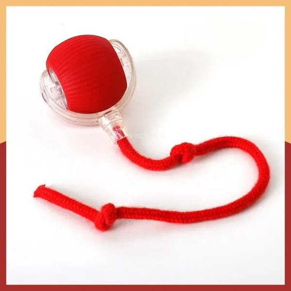 Product placeholder