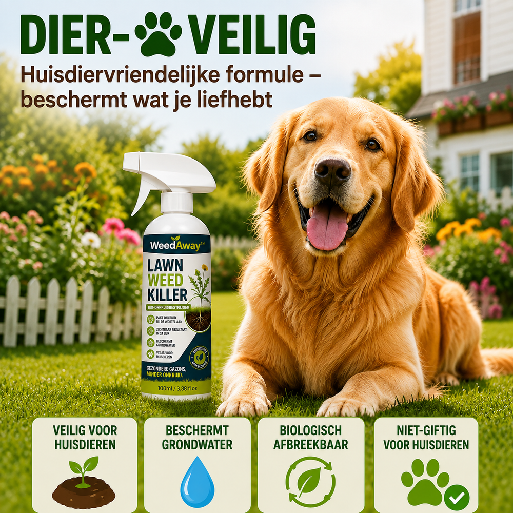 WeedAway™ - Krachtige spray tegen ongewenst onkruid