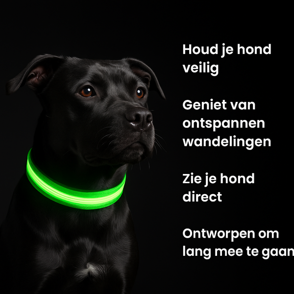 SafeLight Hondenhalsband Voor Veilige Nachtwandelingen
