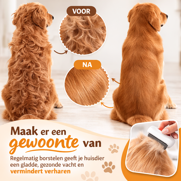 Zelfontwarende Huisdierkam