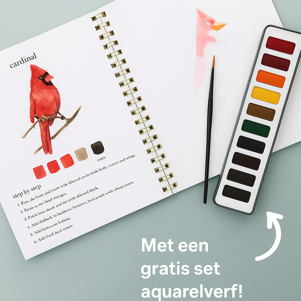 ColorFlow™ - Aquarelset