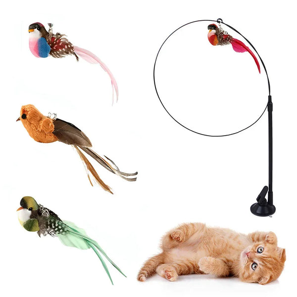 Product placeholder
