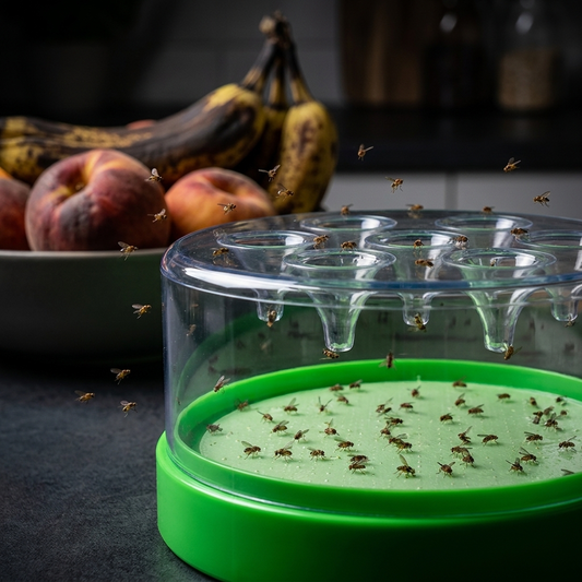 FruitTrap™ Fruitvliegjesvanger - Lifestyle Dramatisch