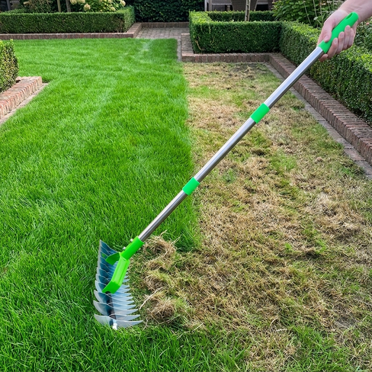 LawnRevive lifestyle