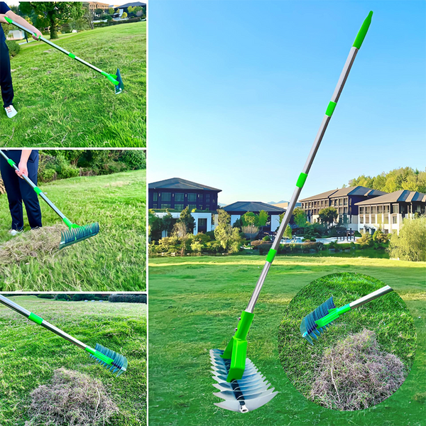 Stralende Groen Tuinhark Snel Eenvoudig