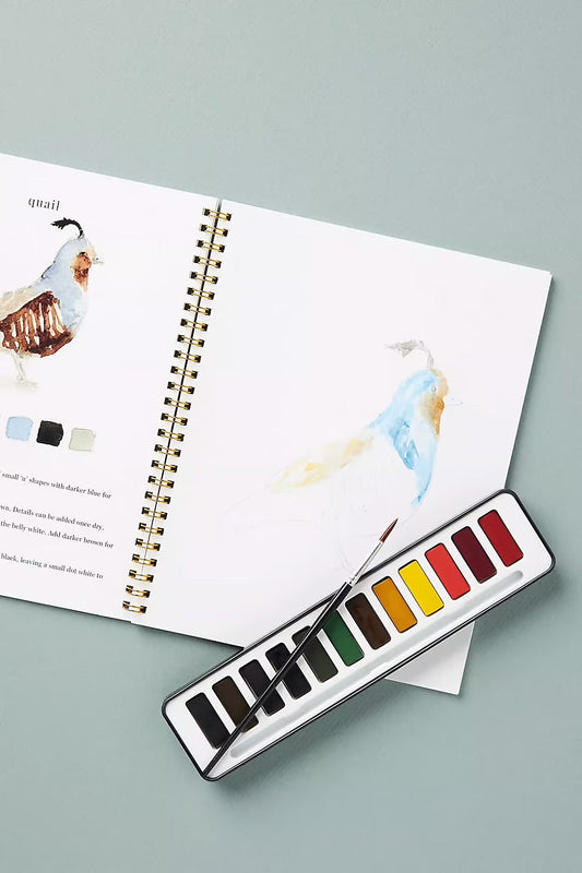 ColorFlow™ - Aquarelset